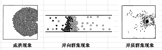 不见图 请翻墙